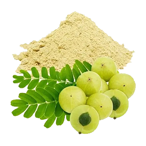 Amla - Indian Gooseberry powder