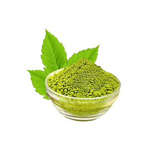 Neem - Azadirachta indica powder